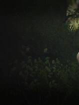 A0784 - 深刻奥秘 Deep Secret Build.12490012+DLC 免安装STEAM中文版[796MB]