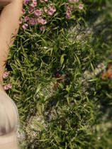 A1812 - 女神的最佳交易 My Best Deal v3.6.20241212 PC+安卓 免安装中文版[6.7GB]