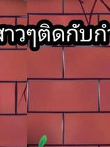 A1306 - 墙上的另一个女孩 Another girl in the wall [PC+安卓] 中文汉化版[180MB]