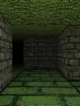 A0384 - 魔界公主与森林魔女 Build.8948129+DLC STEAM中文版[2GB]